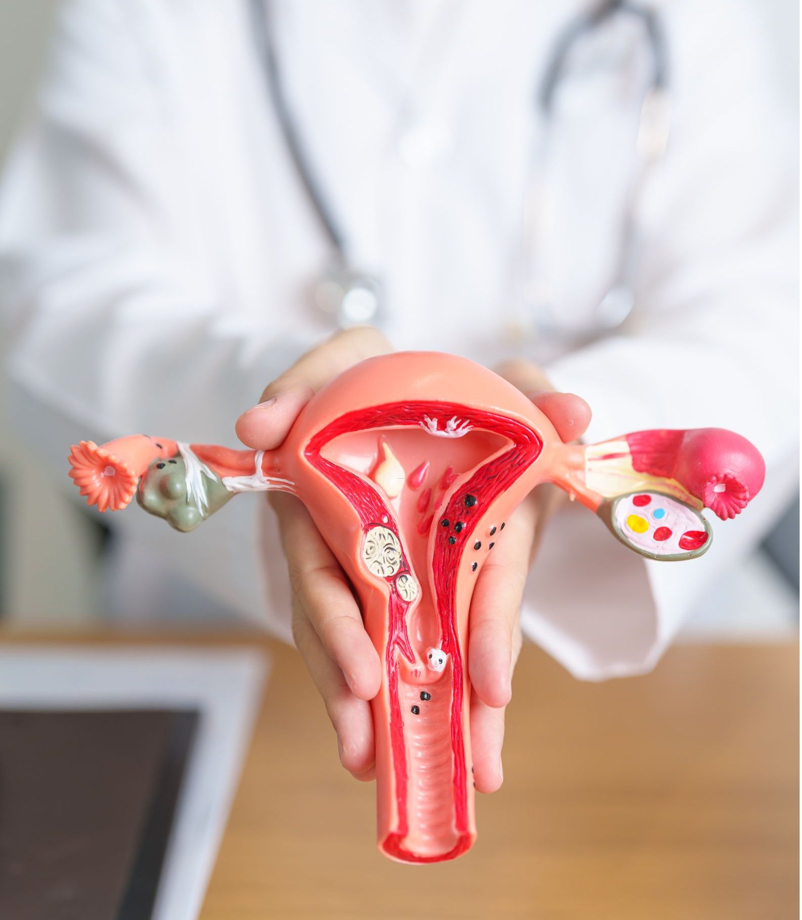 Consultant-led aesthetic and regenerative gynaecology consultation at Phoenix Women’s Health Clinic in Watford, delivered by an experienced male gynaecology consultant in a calm sage-green clinical setting.